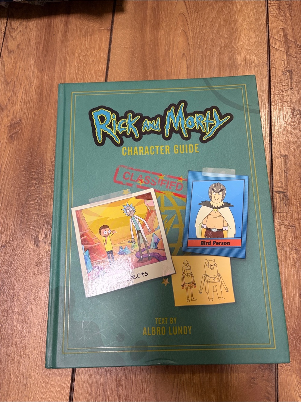Rick and Morty Character Guide — Teal Hardcover for Kids